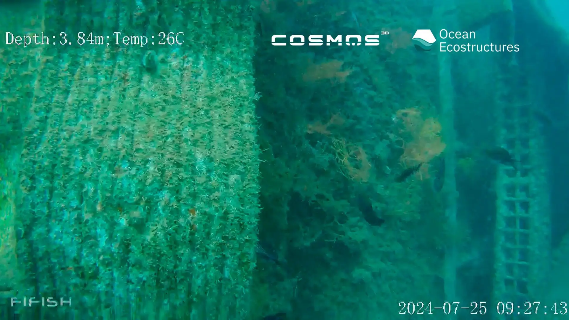 Portada arrecifes ocean ecostructures 4 - Cosmos 3D Colabora na Pesquisa para a Regeneração Marinha por meio da Construção 3D de Recifes