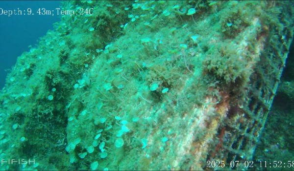 Screenshot 2025 10 27 112926 - Marine Regeneration with 3D Reefs